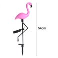 thumbnail image 2 of Paquete de cajas Pink Flamingo Solar Outdoor LED Luces de césped Luces de pila decorativas Pink Flamingo Garden Pile Adepaton CPB-US-DYP156, 2 of 5