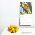 thumbnail image 5 of Owls | 2025 12x24" (Hanging) Wall Calendar | Plastic-Free | BrownTrout, 5 of 9