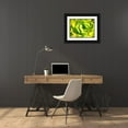 thumbnail image 3 of Miller, Anna 32x25 Black Ornate Wood Framed with Double Matting Museum Art Print Titled - Closeup of a Succulent, 3 of 4