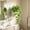 Green GN, variant on WWV Wall Mounted Hydroponic Planter ,Plants Holder Wall Pots for Indoor Plants ,Transparent Self Watering Flower Pot for Home Decor Office Home Garden Decoration Gift Green
