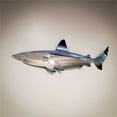 thumbnail image 5 of SDJMa Shark Metal Wall Art Decor,Shark Metal Art Wall Hanging Ornament Art Wall Decoration Ocean World Color Shark Metal Wall Sculptures for Patio Office Living Room Bedroom Home Hall Decoration, 5 of 6
