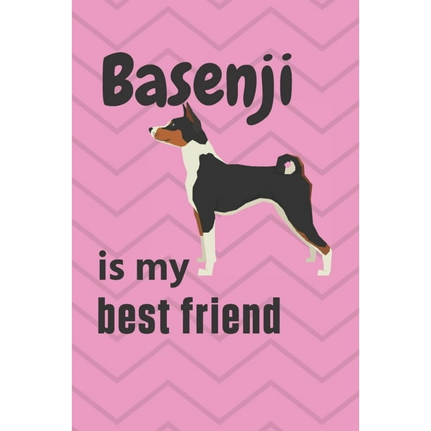 can a basenji and a labrador retriever be friends