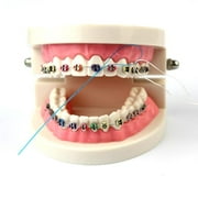 Floss Threaders,Deep Clean Floss for Braces, Bridges, and Implants