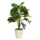 thumbnail image 1 of Planta simulada Bonsái decorativa Ticfox 61897, 1 of 5