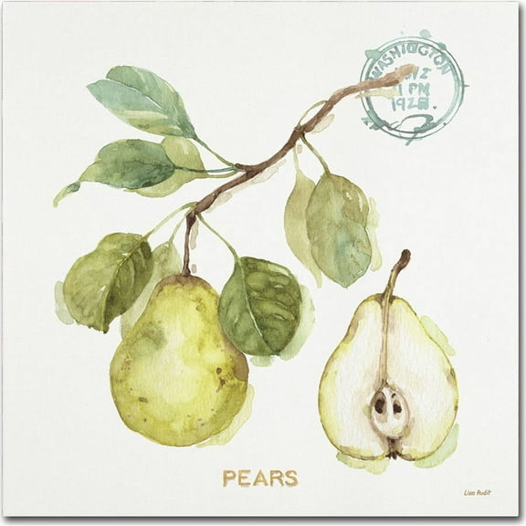 Trademark Fine Art Lisa Audit My Greenhouse Fruit I Canvas Wall Art - 14x14