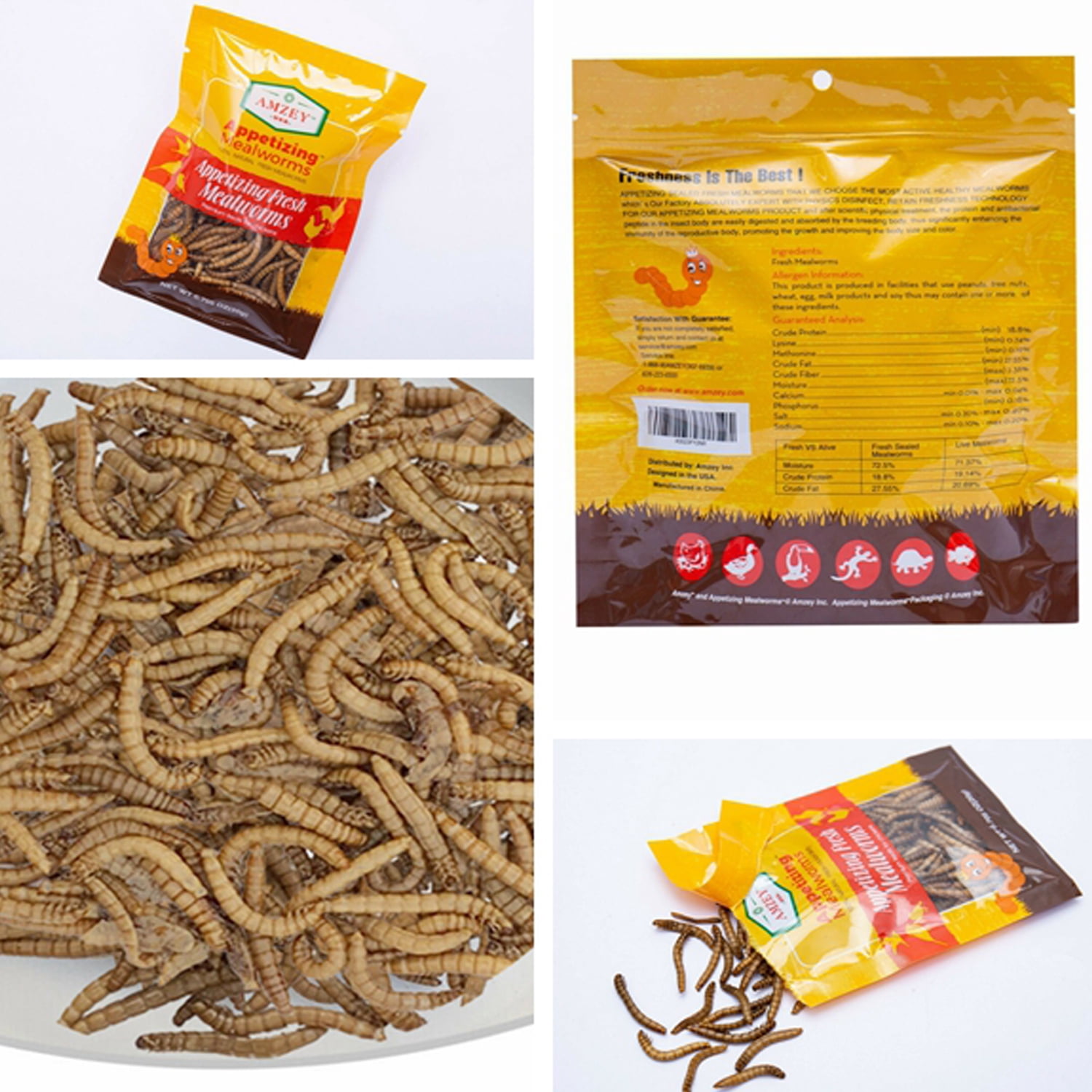 Amzey 2 Pack 8.4 oz 100% Non-GMO Fresh Mealworms, High-Protein Treats for Duck, Fish, Turtle, Chicken, Wild Bird, Crested Gecko, Reptile Food, 16.8 oz (24 Bags)