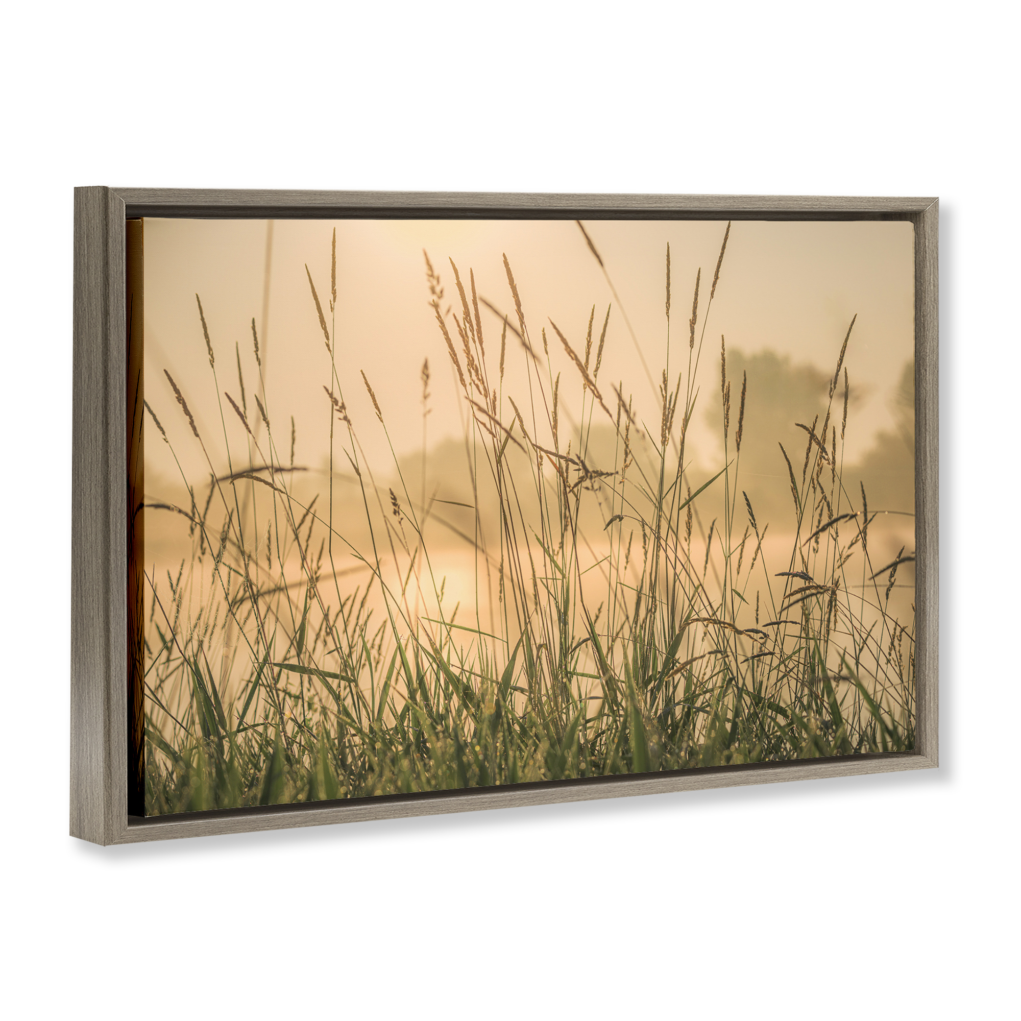 Stupell Industries Grassy Country Reeds Landscape & Nature Photography Brown Floater Framed Canvas Art Print Wall Art, 31 x 21