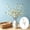 White F, variant on 6 Pack Artificial Cherry Blossom Branches 37 Inch Long Faux Flowers For Home Wedding Vase Decor White Plastic