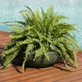 thumbnail image 3 of Sunnydaze Percival 20.75" x 20.75" x 11.5" Round Sable Polyresin Outdoor Planter Pot, 3 of 11