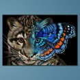 thumbnail image 1 of Cuadros Decorativos 5D bricolaje taladro redondo completo diamante pintura gato Kit decoración del hogar arte artesanía Wdftyju embutido en tela, 1 of 9