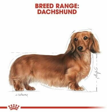 Royal Canin Dachshund Dog Wet Food 12x85g