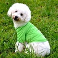 thumbnail image 6 of Frogued Cute Pet Puppy Shirt Small Dog Cat Pet Clothes Costume Apparel T-Shirt (Green,S), 6 of 13