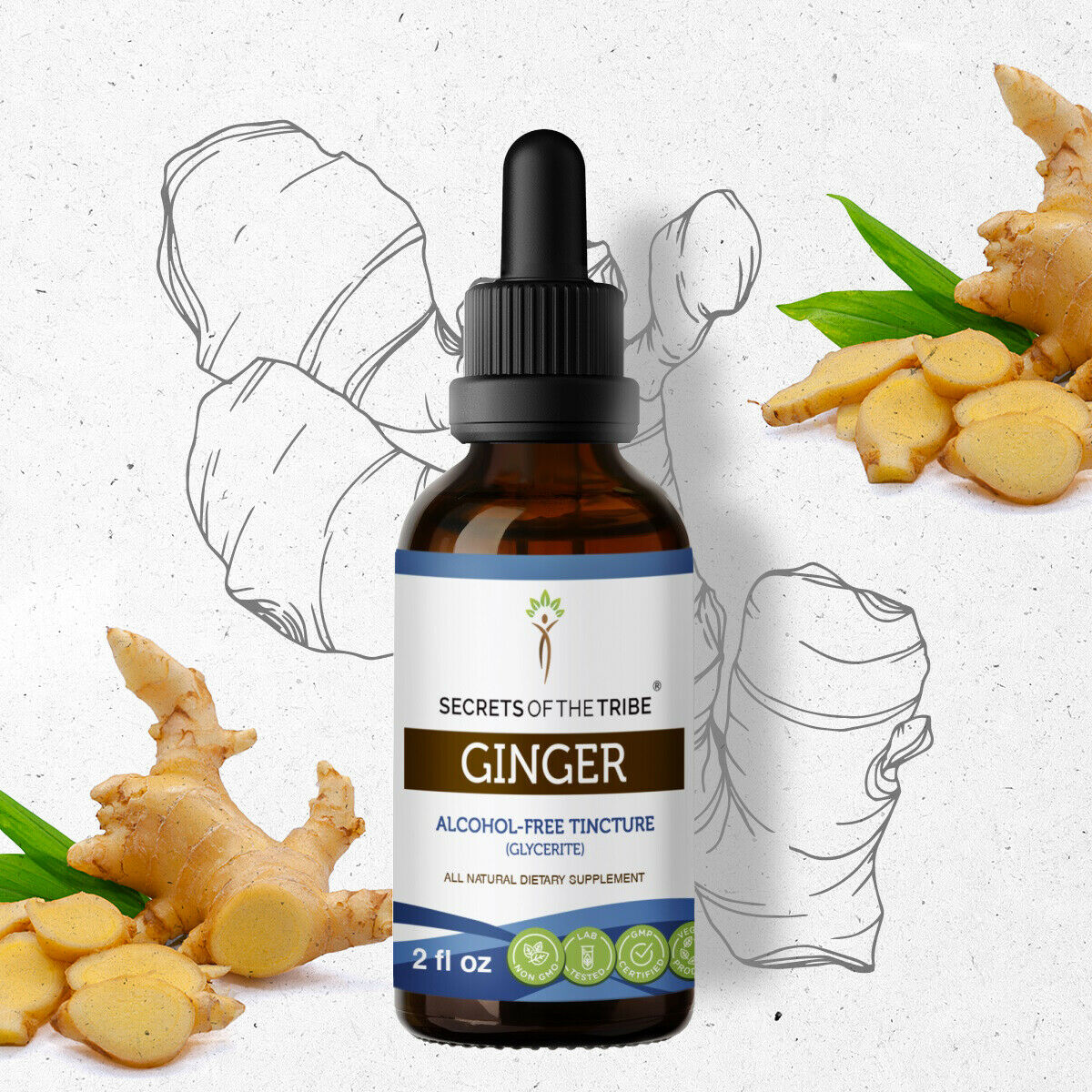 Ginger Tincture AlcoholFREE Extract, Organic Ginger Zingiber
