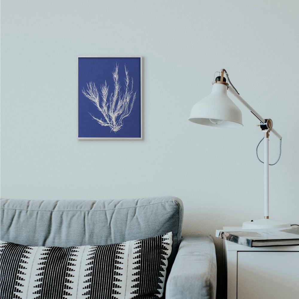 Stupell Industries Coral Seaweed Blue White Beach Design Framed Wall Art by Vision Studio