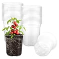 thumbnail image 4 of Clear Nursery Pots for Easy Monitoring & Transplanting - Sturdy & Reusable!, 4 of 8