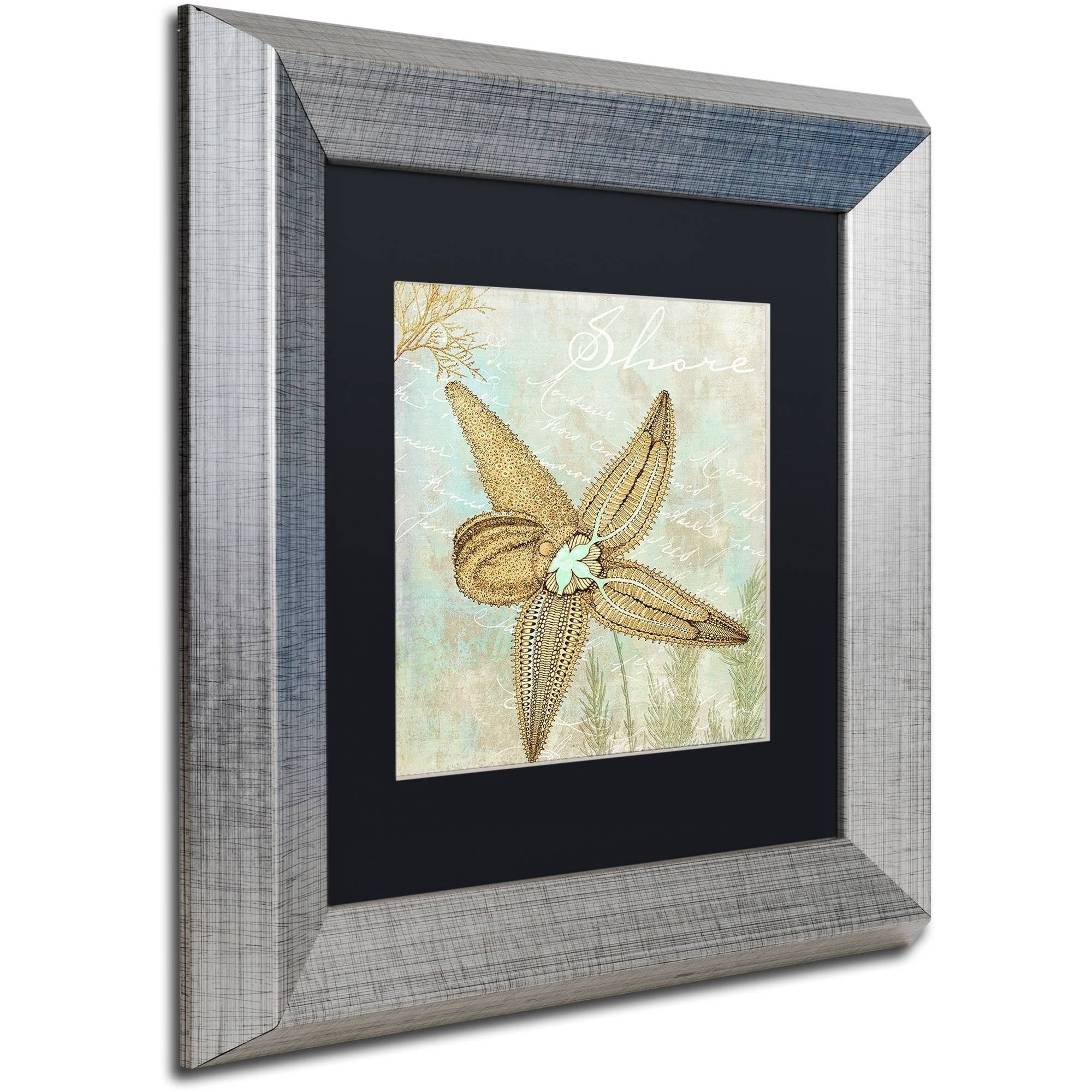 Trademark Fine Art "Turquoise Beach V" Canvas Art by Color Bakery Black Matte, Silver Frame