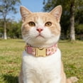 thumbnail image 4 of Reflective Nylon Pet Collar With Quick Release Buckle For Secure Comfortable Daily Walks Training, 4 of 4