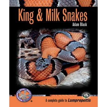 - King & Milk Snakes (Complete Herp Care) - eBook