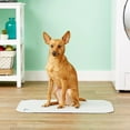 thumbnail image 5 of Pet Parents® Pawtect® Pads Washable Pee Pads for Dogs, 2 Pack Reusable Puppy Pads, Tan & Grey, 18x24, 5 of 8