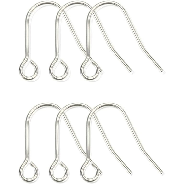 6pcs 20G Small Pure Titanium Earring Fish Hooks DIY Earrings Findings for  Jewelry Making, Hypoallergenic Earring Hooks Making Kit for Women Girls Men