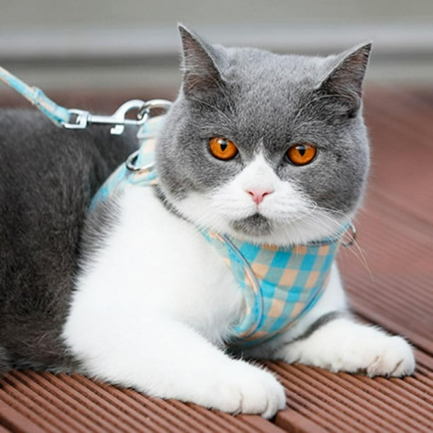 Angmile Cat Harness Service Dog Vest Service Dog Harness Emotional Support Dog Vest Cat Harness And Leash Cat Leash Escape Proof Soft Adjustable Vest Harnesses For Cats Walmart Com Walmart Com