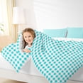 thumbnail image 4 of meiyoeat Geometric Plaid 7 Pieces Full Size Bedding Sets For Kids,Blue Classic Checkered Full Size Bed in a Bag For Boys,Reversible, 4 of 7
