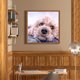 thumbnail image 5 of Pintura de diamante cuadro de cachorro de animal de diamante cuadrado Likrtyny Arte deco, 5 of 9