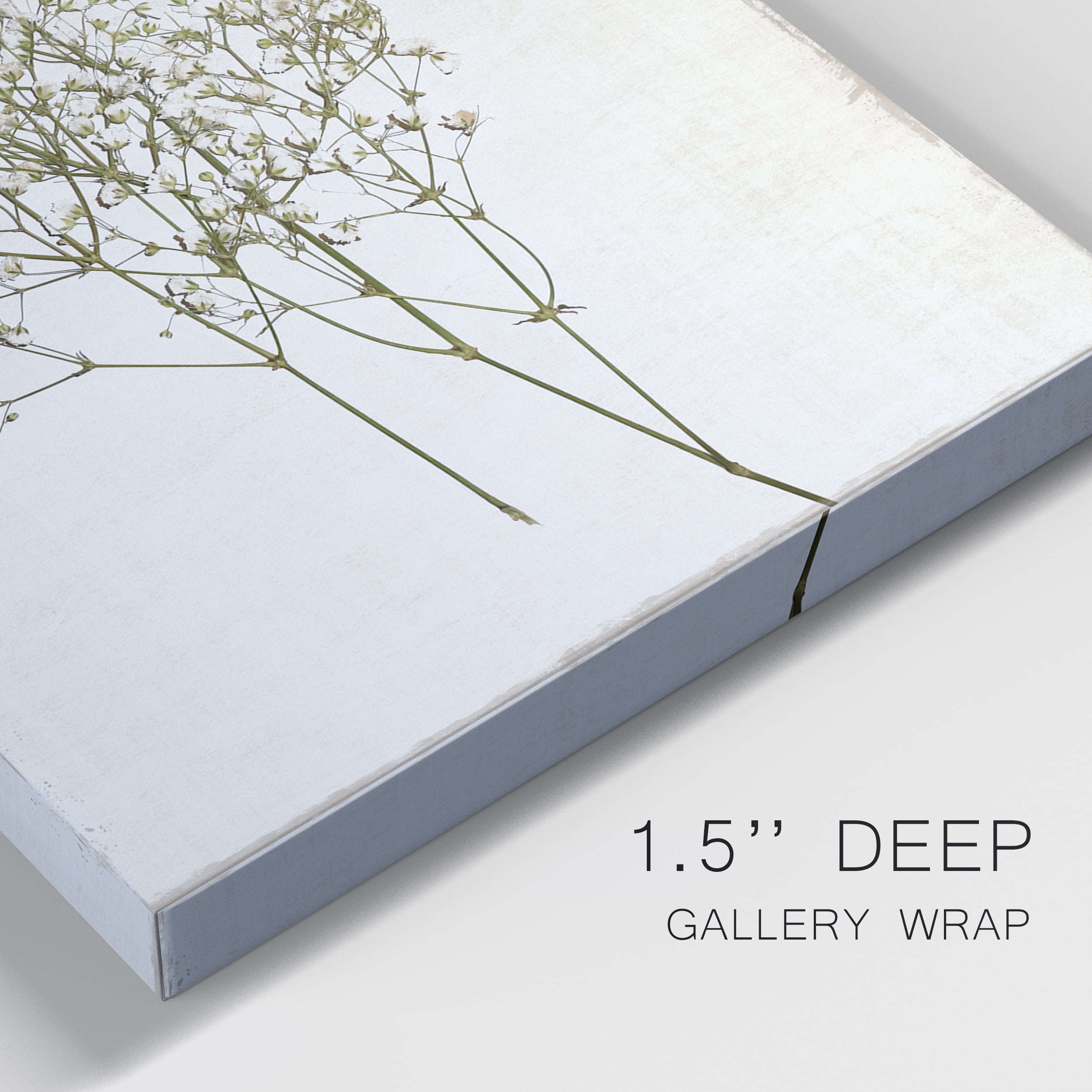 Farmhouse Pressed Flower I Premium Gallery Wrapped Canvas - Ready to Hang - Set of 2 - 12 x 18 Each