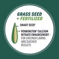 thumbnail image 6 of Pennington Smart Seed Sun & Partial Shade Grass Seed for Southern Lawns; 15 lb, 3,750 Sq. ft., New, 6 of 15