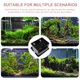 thumbnail image 5 of TABLETREANDS 1Jgo Caja Robusta De Plástico Para Incubación Y Aislamiento Diarios De Reptiles, 5 of 6