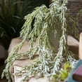 thumbnail image 2 of Artificial Hanging Waterfall Succulent 27" Long, 2 of 8
