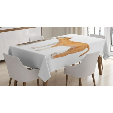 

Dog Tablecloth Kitten Playing with Stafford Puppy Animal Friendship Domestic Pet Lover Print Rectangular Table Cover for Dining Room Kitchen 60 X 84 Inches Oange Brown White by Ambesonne