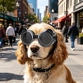 thumbnail image 2 of Goggles For Small Breed Wind/ Puppy With Adjustable Strap White Black Dog Swimsuit Dog Swimsuit Boy Dog Swim Suite Dog Jacket Dog Hiking Gear Water Bunny Hat for Cat And Owner Fan for Car Window for, 2 of 8