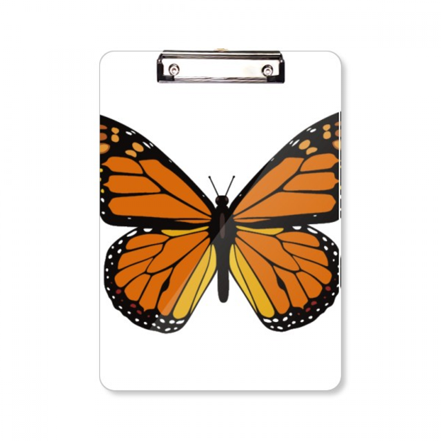 Orange Butterfly modelo Portapapeles Carpeta de escritura Placa de soporte A4