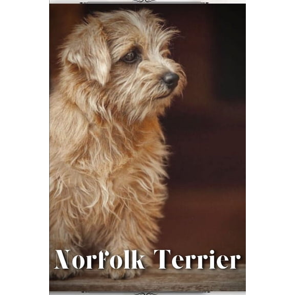 Norfolk Terrier : Dog breed overview and guide (Paperback)