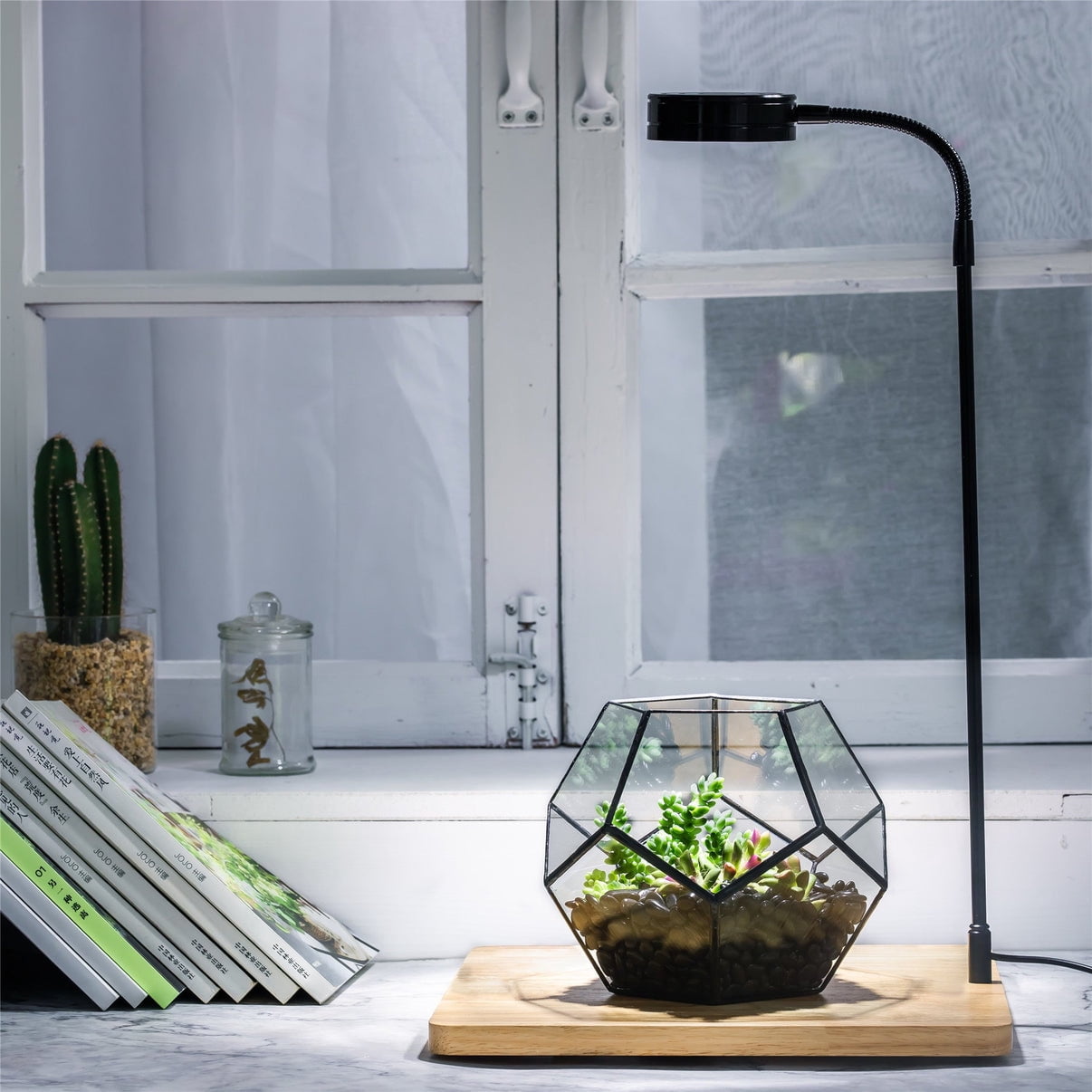 NCYP Grow Lamp with Wooden Base for Plant Terrariums for Succulents, Moss, Ferns, Indoor Plant Display Decorative Board with Adjustable Gooseneck, 40CM 15.74 inches Staright Height
