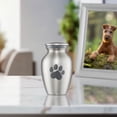 thumbnail image 7 of Reminded Pet Cremation Urns for Dog and Cat Ashes, Brass Memorial Paw Print Urn - Extra Small Keepsake Silver, 7 of 7