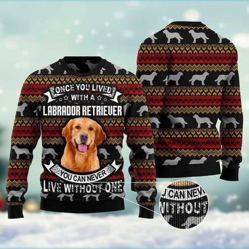 Dog Xmas Sweater, Labrador Retriever 3D Christmas Sweater, Funny Xmas Sweater