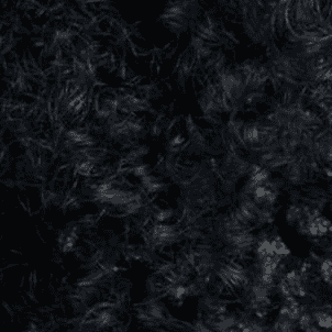 1B Silken Black