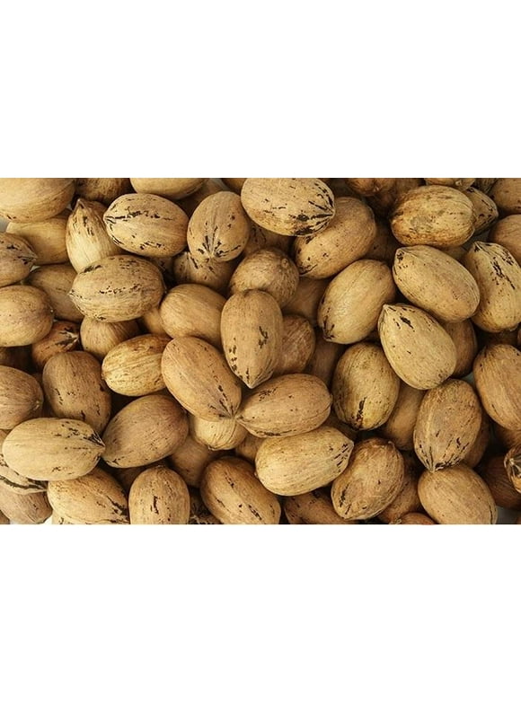 Pecans