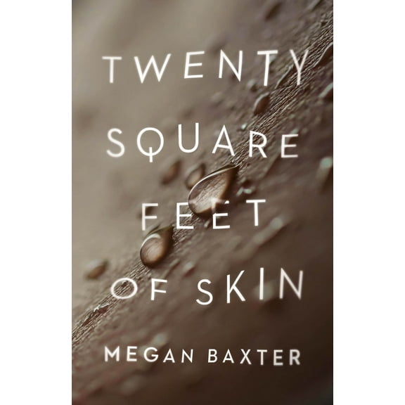 21st Century Essays: Twenty Square Feet of Skin (Paperback)