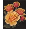 thumbnail image 2 of About Face™ Grandiflora Rose Bush - Bareroot, 2 of 2