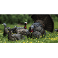 thumbnail image 4 of AVIAN-X LCD Strutter Durable Realistic Lifelike Collapsible Standing Hunting Folding Turkey Decoy with Carry Bag & Stake, AVX8004, 4 of 7