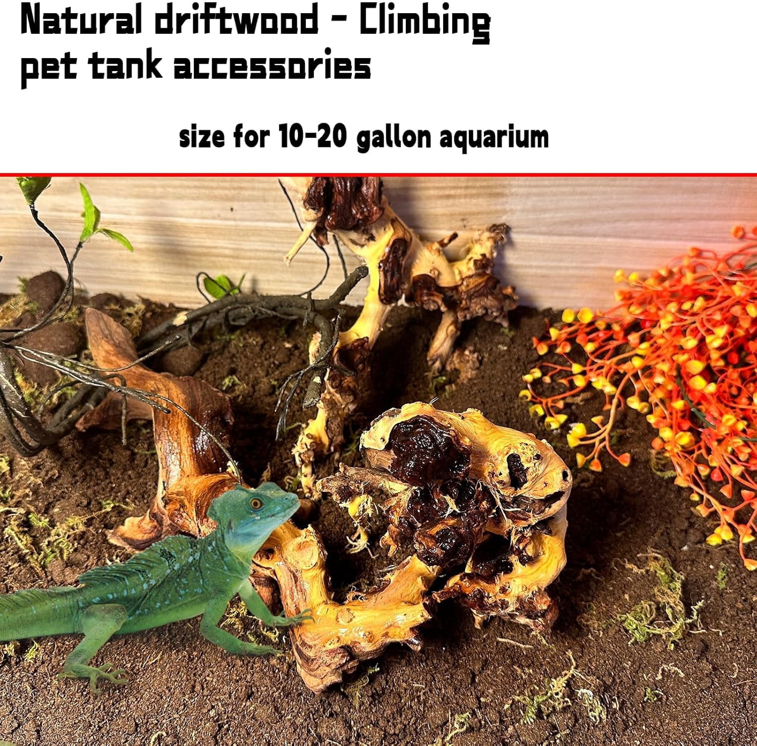 Aquarium Driftwood 3PCS Natural Trunk Driftwood Assorted Branches 8-12" Reptile Wood Decor Terrarium Ornament Fish Tank Decoration