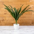 thumbnail image 3 of ELITE FLORAL 22" Artificial Boston Fern Spray Faux Fern Spray Plant with 17" Leaves, 3 of 6