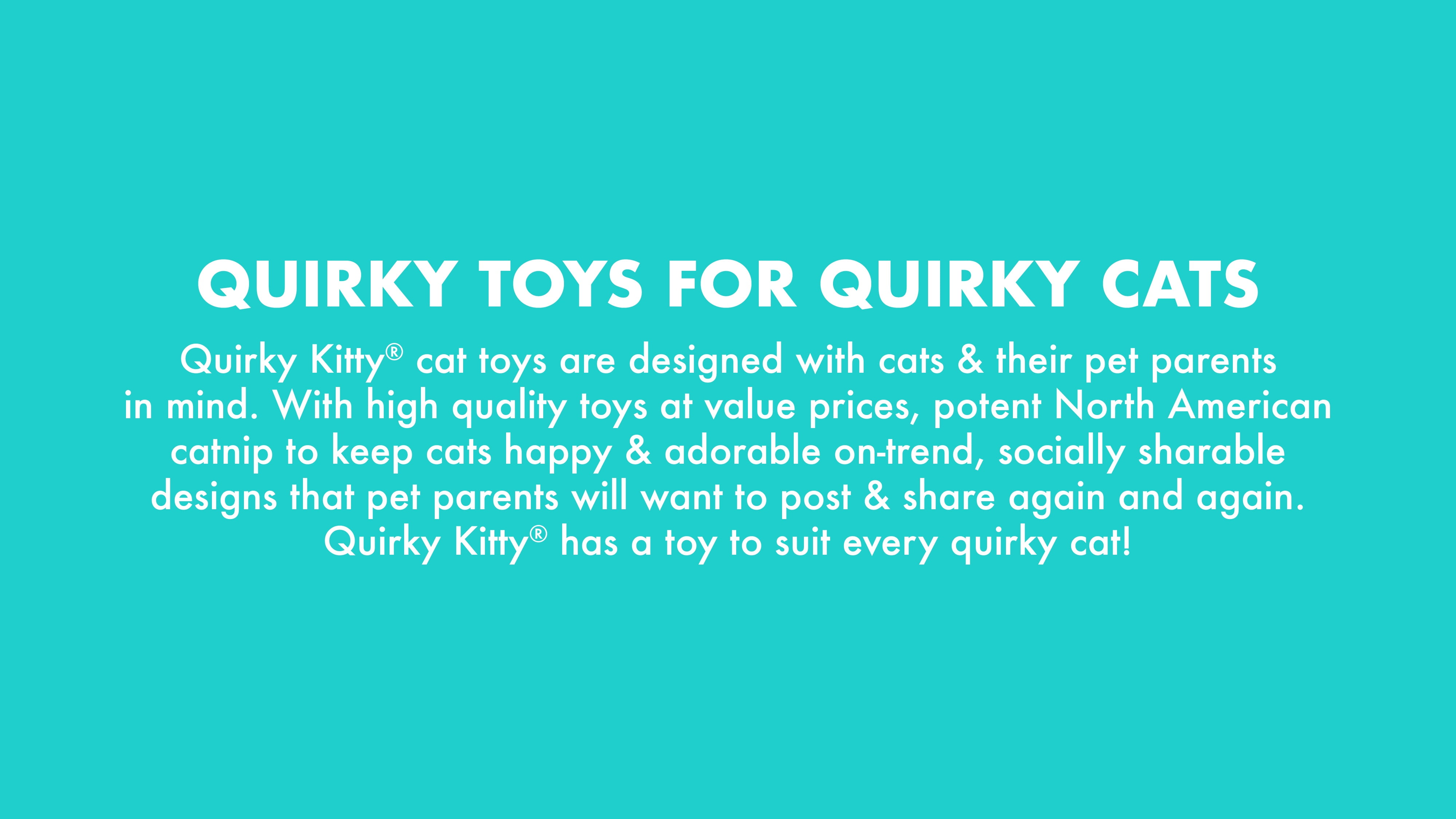 Quirky Kitty Reel Fun Fishing Wand Catnip Interactive Cat Toy, Multicolor