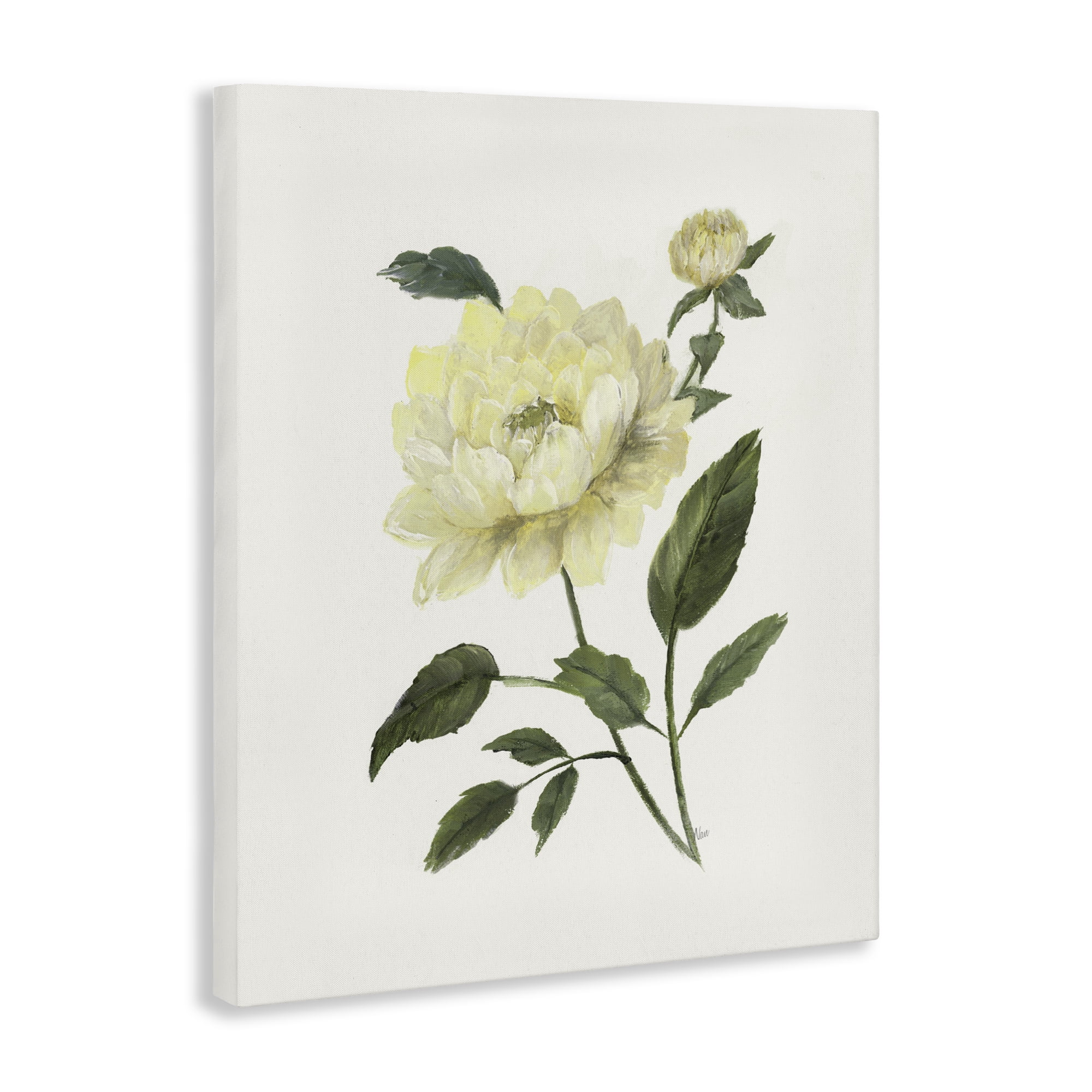 Stupell Industries Cream Garden Peony with Buds Canvas Wall Art, design by Nan