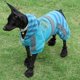 thumbnail image 5 of Botas para mascotas Gloria 4 Unids para Perro Malla Transpirable 1.81*1.61inch Negro, 5 of 7