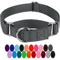thumbnail image 1 of HSHDLDF Charcoal Martingale Heavy Duty Nylon Dog Collar 21 Vibrant Color Options (3/4 Inch Width, Small), 1 of 6