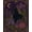Purple, Pattern 8, variant on ODIKA 8'x10' Washable Area Rug Black Purple Mystical Cat and Floral Motif Design Celestial with Lavender for Living Room, Under Sectional, Family , Durable, Non-Slip